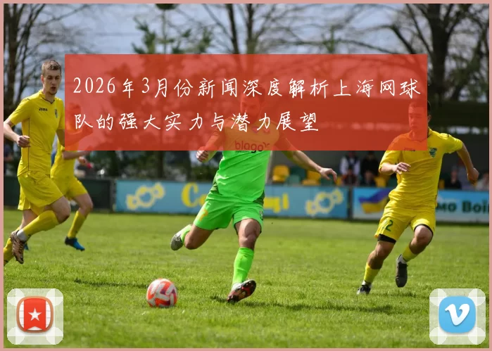 2026年3月份新闻深度解析上海网球队的强大实力与潜力展望