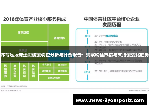 体育足坛球迷忠诚度调查分析与评测报告：洞察粉丝热情与支持度变化趋势