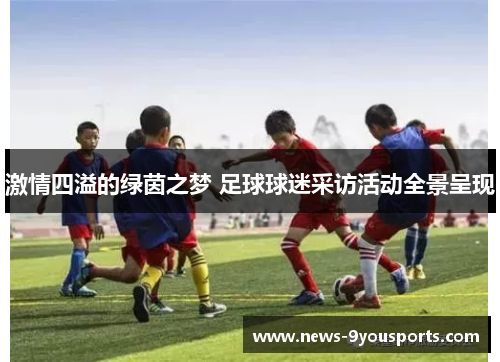 激情四溢的绿茵之梦 足球球迷采访活动全景呈现