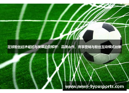 足球粉丝经济崛起与发展趋势解析：品牌合作、赛事营销与粉丝互动模式创新