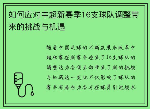 如何应对中超新赛季16支球队调整带来的挑战与机遇