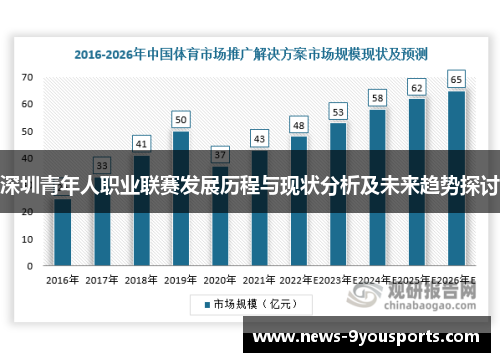 深圳青年人职业联赛发展历程与现状分析及未来趋势探讨