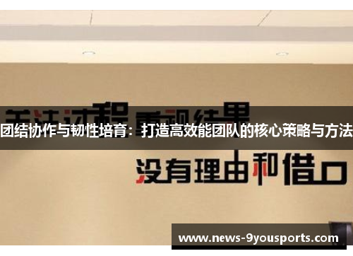 团结协作与韧性培育：打造高效能团队的核心策略与方法
